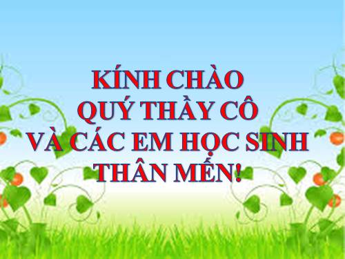 Tuần 25-26. MRVT: Dũng cảm