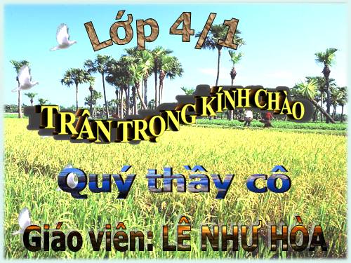 Tuần 16. Câu kể