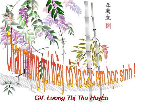 Tuần 14. Luyện tập về câu hỏi