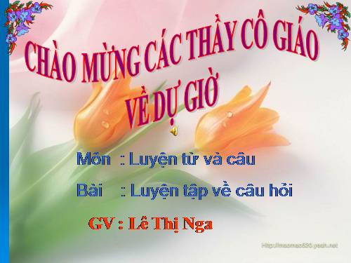 Tuần 14. Luyện tập về câu hỏi