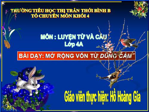 Tuần 25-26. MRVT: Dũng cảm