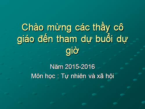 Tuần 19. Chủ ngữ trong câu kể Ai làm gì?