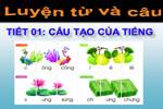 Tuần 1. Cấu tạo của tiếng