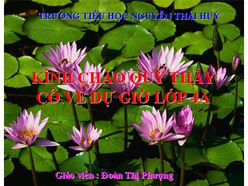 Tuần 24. Câu kể Ai là gì?