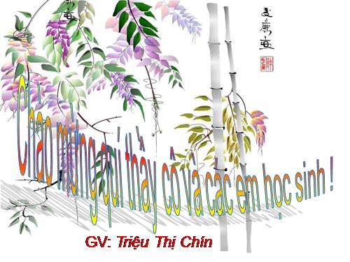 Tuần 14. Luyện tập về câu hỏi