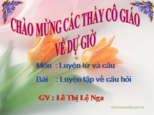 Tuần 14. Luyện tập về câu hỏi