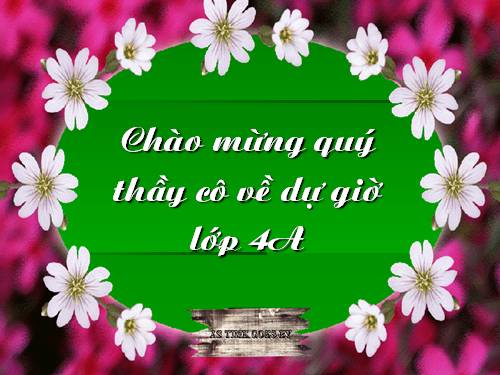 Tuần 12. MRVT: Ý chí - Nghị lực