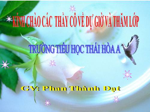 Tuần 11. Tính từ