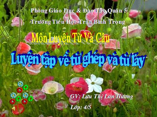 Tuần 4. Luyện tập về từ ghép và từ láy