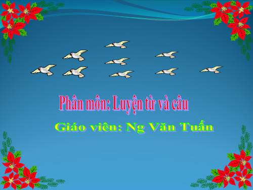 Tuần 29-30. MRVT: Du lịch - Thám hiểm