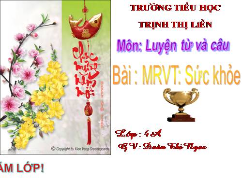 Tuần 20. MRVT: Sức khoẻ