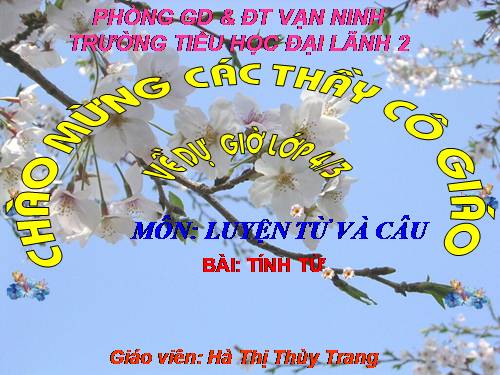 Tuần 11. Tính từ