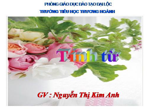 Tuần 11. Tính từ