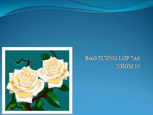 báo tường