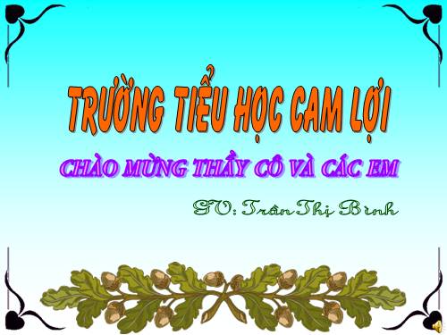 Tuần 11. Luyện tập về động từ