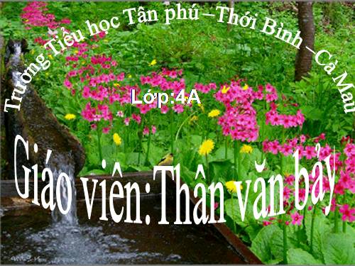 Tuần 17. Câu kể Ai làm gì?