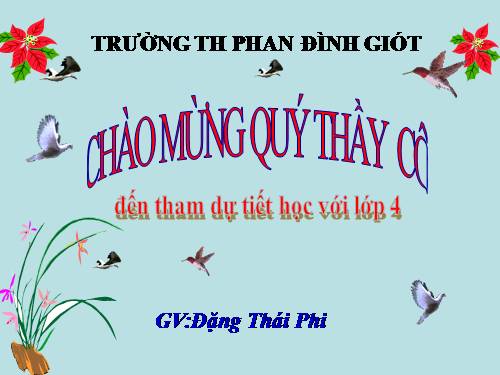 Tuần 11. Tính từ