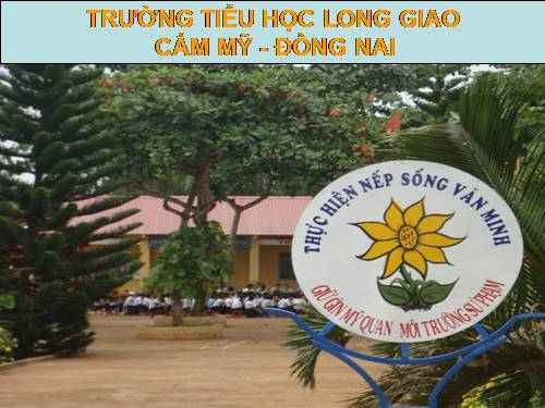 Tuần 13. MRVT: Ý chí - Nghị lực