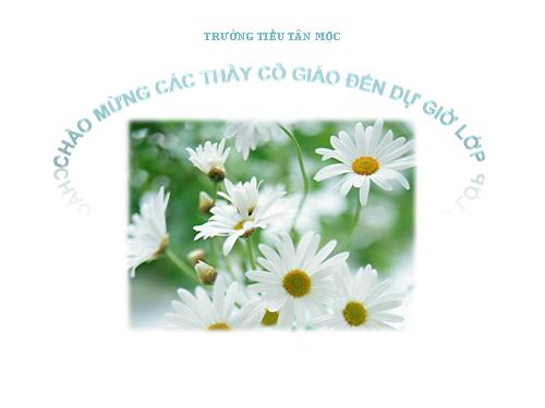 Tuần 9. Động từ