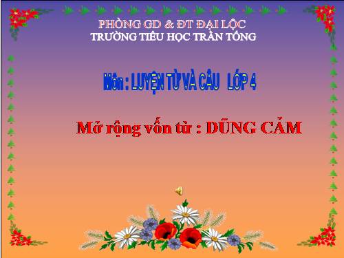 Tuần 25-26. MRVT: Dũng cảm