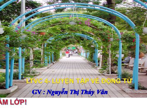 Tuần 11. Luyện tập về động từ