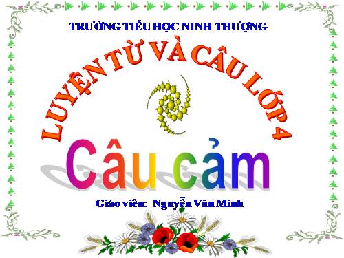 Tuần 30. Câu cảm