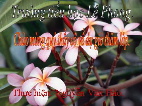 Tuần 12. Tính từ (tiếp theo)