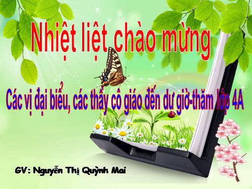 Tuần 24. Câu kể Ai là gì?