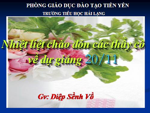 Tuần 11. Tính từ