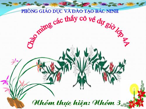 Tuần 29-30. MRVT: Du lịch - Thám hiểm