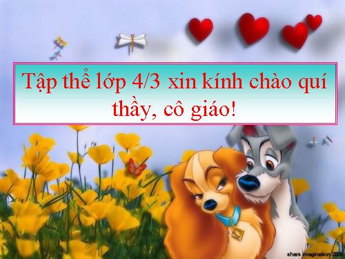 Tuần 24. Vị ngữ trong câu kể Ai là gì?