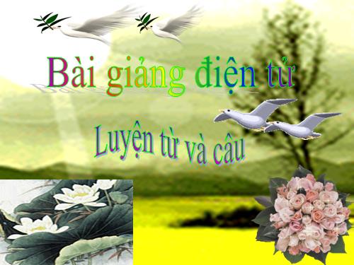 Tuần 30. Câu cảm