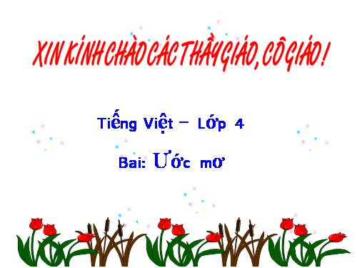 Tuần 9. MRVT: Ước mơ