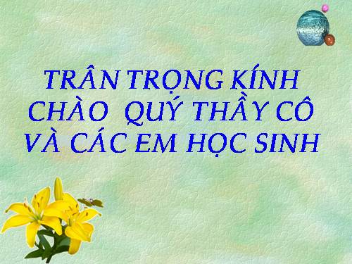 Tuần 9. Động từ
