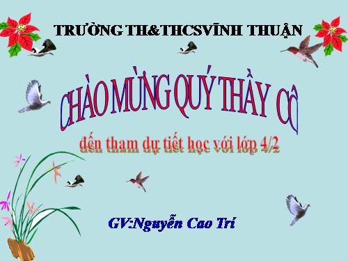 Tuần 11. Tính từ