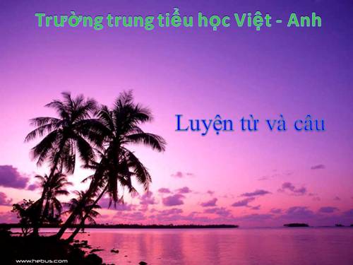 Tuần 3. Từ đơn và từ phức