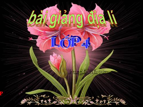 Tuần 24. Câu kể Ai là gì?