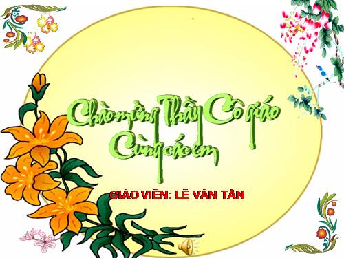 Tuần 16. Câu kể