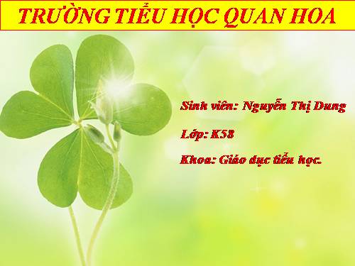 Tuần 25-26. MRVT: Dũng cảm