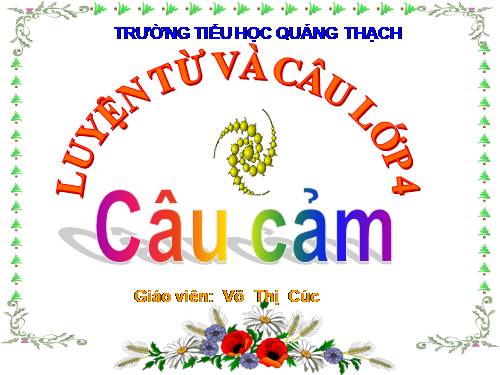 Tuần 30. Câu cảm