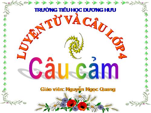 Tuần 30. Câu cảm