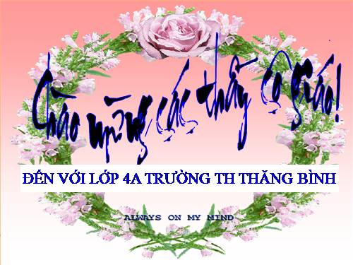 Tuần 29-30. MRVT: Du lịch - Thám hiểm