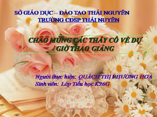 Tuần 17. Câu kể Ai làm gì?