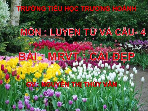 Tuần 22-23. MRVT: Cái đẹp