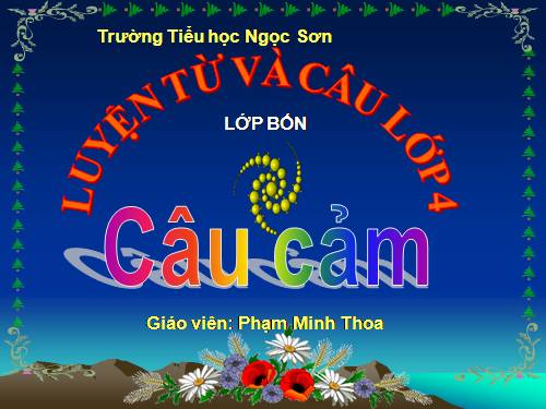 Tuần 30. Câu cảm