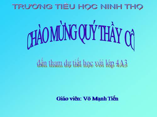 Tuần 11. Tính từ