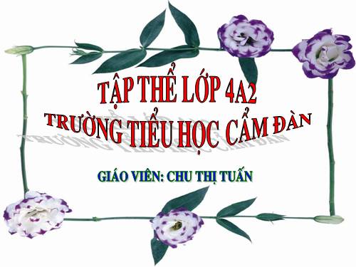 Tuần 30. Câu cảm