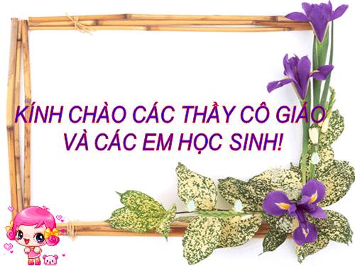 Tuần 14. Dùng câu hỏi vào mục đích khác