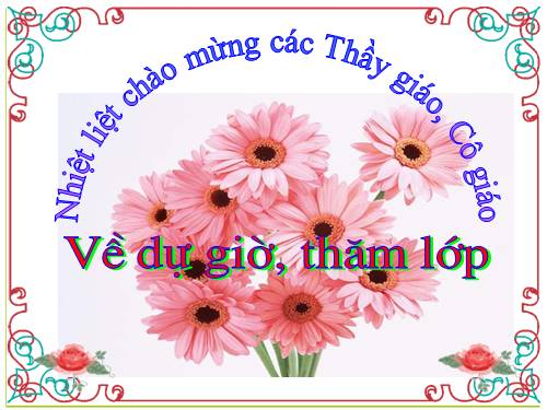 Tuần 12. Tính từ (tiếp theo)