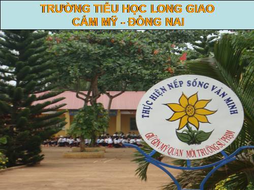 Tuần 12. Tính từ (tiếp theo)